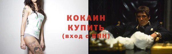 кокс Туринск