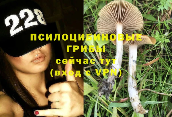 прущие крисы Навашино