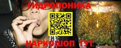 apvp Коммунар