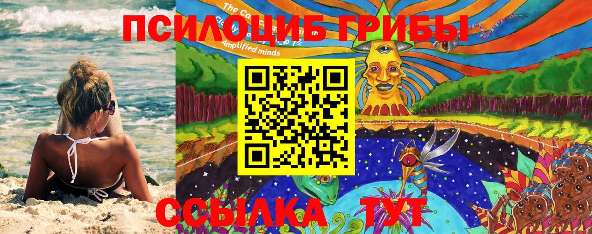 Галлюциногенные грибы MAGIC MUSHROOMS Саяногорск