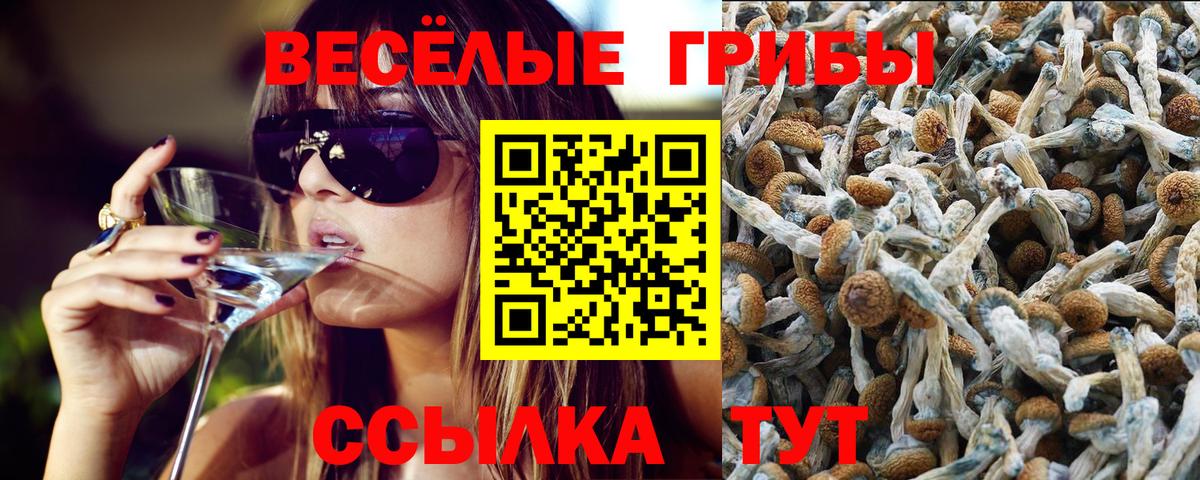 Псилоцибиновые грибы прущие грибы  Вход с VPN  Саяногорск 